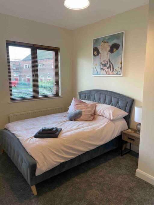 Close To Belfast City Centre.Modern Opened Planned Екстер'єр фото